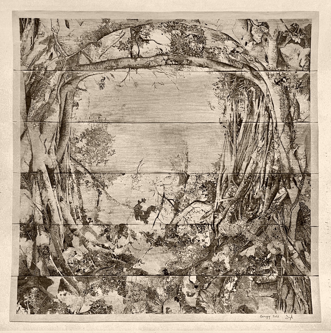 canopy-signer-v2%20-%20Grande canopy-signer-v2%20-%20Grande